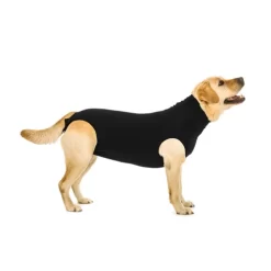 Suitical Recovery Suit Hond - Zwart 29 Suitical Recovery Suit Hond - Zwart -HondenTopDeals 030c0c95b2225b3f51d0531451c332d22240a6793456a94550dc3c51446b2a0a 4