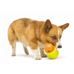 Zogoflex Toppl - Treat Toy 24 Zogoflex Toppl - Treat Toy -HondenTopDeals 0cJe9jR88p4kg2k2eS0t6102tBKRW4 metaVG9wcGwtaG9uZC16bC5qcGc