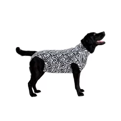Medical Pet Shirt Hond Zebra Print