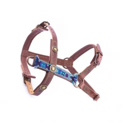 DWAM Hondentuigje Boho Juan 12 DWAM Hondentuigje Boho Juan -HondenTopDeals 3df6bea085ac89cbb0243cafc5e51257d293169e03f221ee5c780080e2ff8a36 3