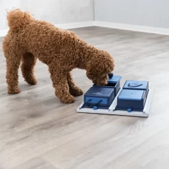 Trixie Dog Activity Poker Box -HondenTopDeals 4GNYmJCarjjHju4owvcW13MD7XvhnS metaVHJpeGllLURvZy1BY3Rpdml0eS1Qb2tlci1Cb3gtMi5qcGc