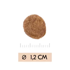 Vetality Gastrointestinal - Hondenvoer -HondenTopDeals B8NEQsyeCQch4UgKShIZcxtA0bCPPX metadmV0YWxpdHlfZ2FzdHJvaW50ZXN0aW5hbF9faG9uZGVudm9lcl8xOTU0NDlfMDUwMF9ub25lLmpwZw