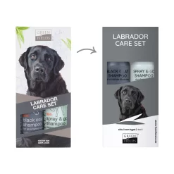 Greenfields Labrador Care Set -HondenTopDeals JlhbVqJoAhpiWg3yFytlWRK7VUF2c8 metaR3JlZW5maWVsZHMtTGFicmFkb3ItQ2FyZS1TZXQ0LmpwZw