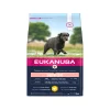 Eukanuba Dog - Caring Senior - Large Breed
