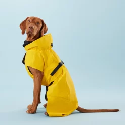 PAIKKA Visibility Raincoat Lite Yellow -HondenTopDeals PClMHEr7OU9sOGs5uS5yRaglBqAzmp metaUGFpa2thLVZpc2liaWxpdHktUmFpbmNvYXQtTGl0ZS1ZZWxsb3czLmpwZw