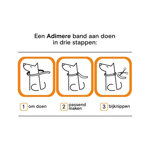 Adimere - Vlooienband 6 Adimere - Vlooienband - Afbeelding 6