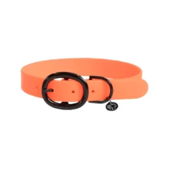 Kentucky Dogwear Soft Rubber Hondenhalsband -HondenTopDeals W9DEGARRXWWjvdN5yXATvyBYWHTJ9t metaS2VudHVja3ktRG9nd2Vhci1Tb2Z0LVJ1YmJlci1Ib25kZW5oYWxzYmFuZC1vcmFuZ2UucG5n