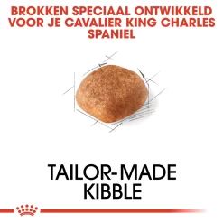 Royal Canin Cavalier King Charles Adult - Hondenvoer 12 Royal Canin Cavalier King Charles Adult - Hondenvoer -HondenTopDeals ZD6TKeO8xzqyp95LQ0Qjme3o9DNUUD metaUm95YWwtQ2FuaW4tQ2F2YWxpZXItS2luZy1DaGFybGVzLUFkdWx0XzAzLmpwZw
