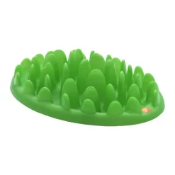 Company Of Animals Green Slow Dog Feeder