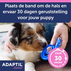 Adaptil Halsband - Junior -HondenTopDeals aKln5rnBRmAm6DSsJil7WMzLeFnBco metaQWRhcHRpbC1KdW5pb3ItY29sbGFyLUNhcm91c3NlbC01LmpwZw