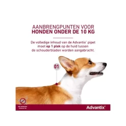 Advantix -HondenTopDeals advantix 174202 0500 none