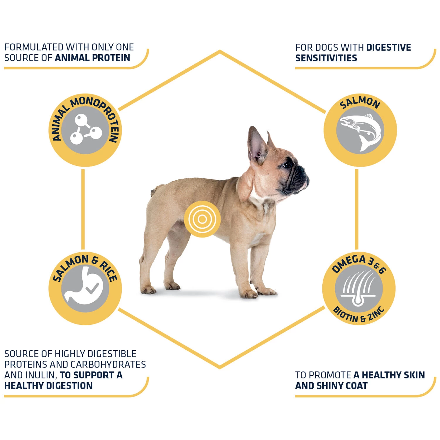 Affinity Advance Sensitive Mini Zalm En Rijst - Hond 3 Affinity Advance Sensitive Mini Zalm En Rijst - Hond - Afbeelding 3