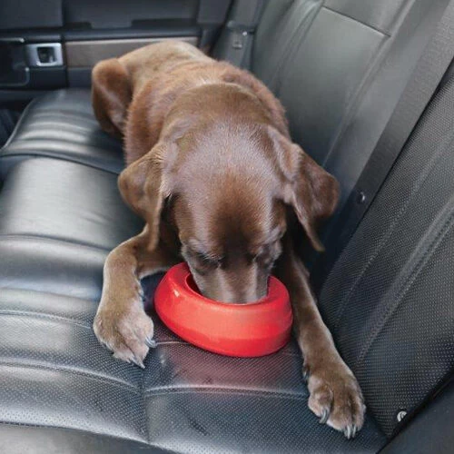 Kurgo Splash Free Wander Water Bowl 7 Kurgo Splash Free Wander Water Bowl - Afbeelding 7