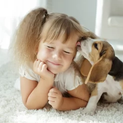 Beaphar Fiprotec Spray -HondenTopDeals beaphar fiprotec spray 213632 2000 none