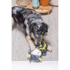 Beeztees Hide And Seek Koe -HondenTopDeals beeztees hide and seek koe 221777 2000 none