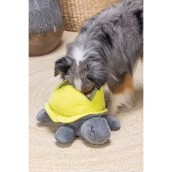 Beeztees Hide And Seek Schildo -HondenTopDeals beeztees hide and seek schildo 221788 2000 none