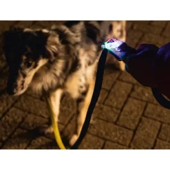 Beeztees Safety Gear Parinca Premium Hondenriem -HondenTopDeals beeztees safety gear parinca premium hondenriem 215036 2000 none