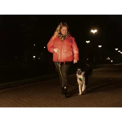 Beeztees Safety Gear Parinca Premium Hondenriem -HondenTopDeals beeztees safety gear parinca premium hondenriem 215042 2000 none