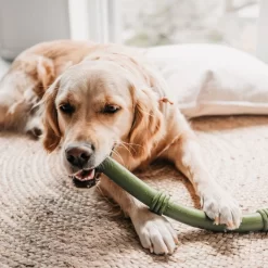 Beeztees Sumo Fit Stick 9 Beeztees Sumo Fit Stick -HondenTopDeals beeztees sumo fit stick 178435 1000 none