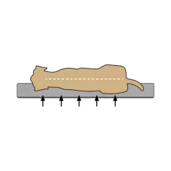 Beeztees Ligbed Yura 9 Beeztees Ligbed Yura -HondenTopDeals bezpkMWiqL3rXJQUZyurY1g4CsoFly metaQmVlenRlZXMtTWVtb3J5LUZvYW0tVW1hLUhvbmRlbm1hbmQtb3J0aG9wZWRpc2NoLTIuanBn