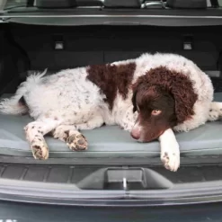 Bia Original Matras Grijs 14 Bia Original Matras Grijs -HondenTopDeals bia original matras grijs 164077 0500 none