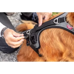 Curli Magnetic Belka Comfort Harness 16 Curli Magnetic Belka Comfort Harness -HondenTopDeals curli magnetic belka comfort harness 219393 2000 none