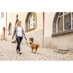 Curli Magnetic Belka Comfort Harness 17 Curli Magnetic Belka Comfort Harness -HondenTopDeals curli magnetic belka comfort harness 219394 2000 none