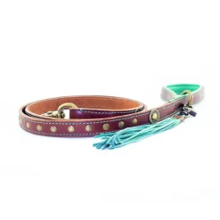 DWAM Hondenriem Joe -HondenTopDeals d851e1da746a7ed69e57f268b3d363ea01f1b2f4b9f1cd7e247e9dd6aefa05ae 4