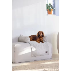 Designed By Lotte Bankkussen Ribbed 13 Designed By Lotte Bankkussen Ribbed -HondenTopDeals designed by lotte bankkussen ribbed 222738 2000 none