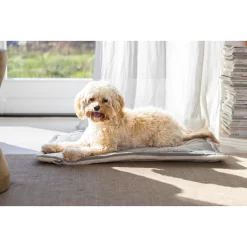 Designed By Lotte Benchkussen Gisel -HondenTopDeals designed by lotte benchkussen gisel 221518 1500 none