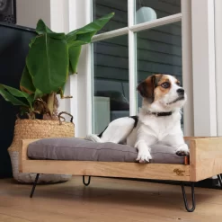 Designed By Lotte Ligmand Turana -HondenTopDeals designed by lotte ligmand turana 170032 2000 none