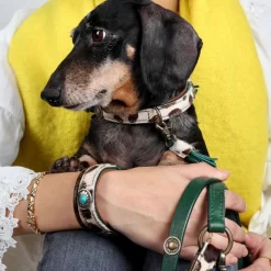 DWAM Halsband Ivy -HondenTopDeals dwam halsband ivy 180688 1000 none