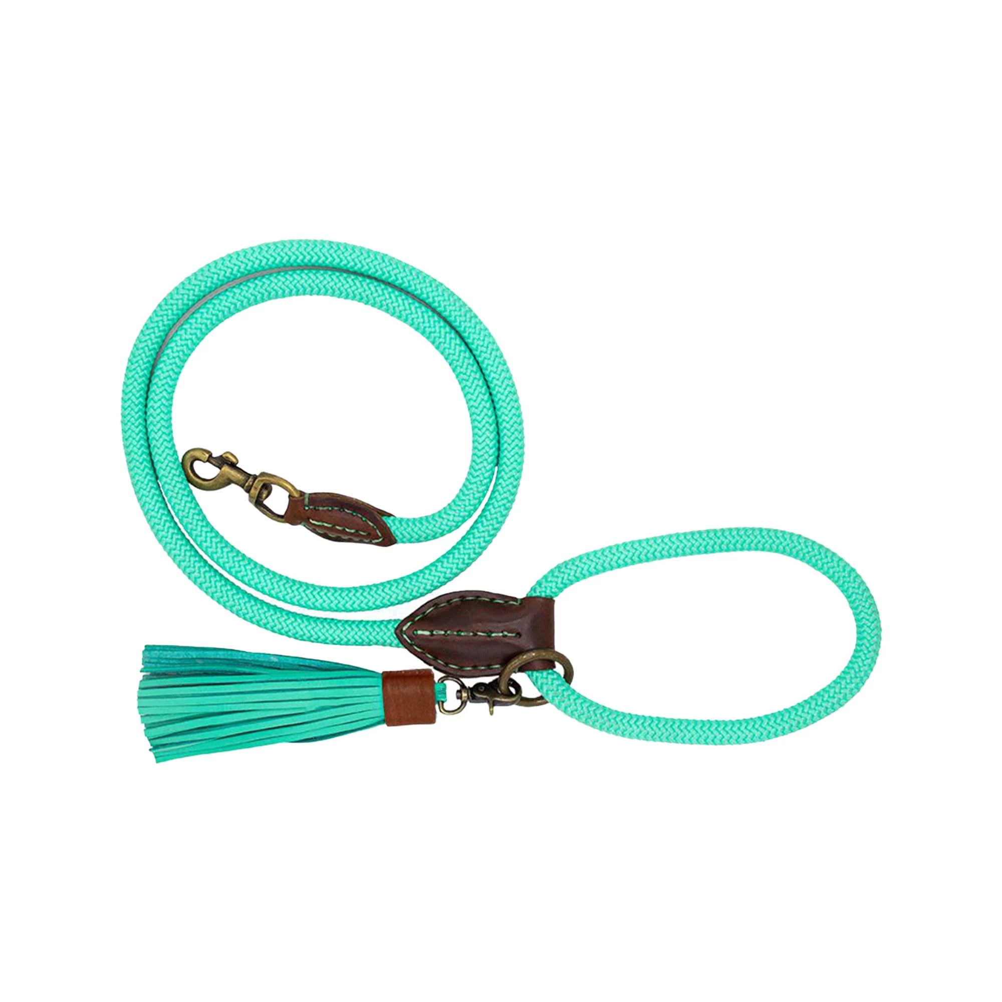 DWAM Hondenriem Jade 2 DWAM Hondenriem Jade - Afbeelding 2