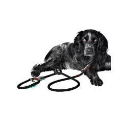 DWAM Hondenriem Long John -HondenTopDeals dwam hondenriem long john 166357 1000 none