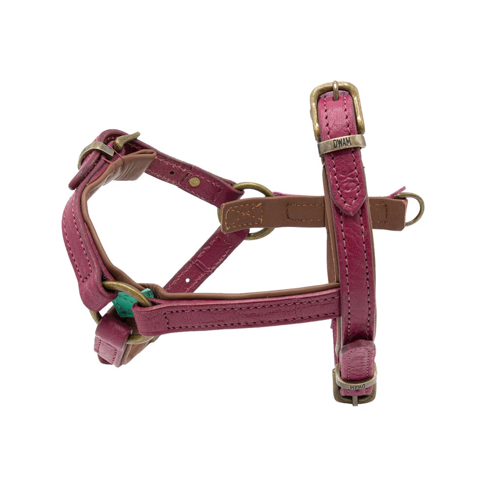 DWAM Hondentuigje Lou Lou 5 DWAM Hondentuigje Lou Lou - Afbeelding 5