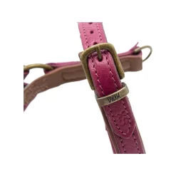 DWAM Hondentuigje Lou Lou 14 DWAM Hondentuigje Lou Lou -HondenTopDeals dwam hondentuigje lou lou 182158 1000 none