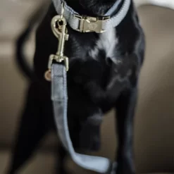 Kentucky Dogwear Hondenlijn Wool 32 Kentucky Dogwear Hondenlijn Wool -HondenTopDeals ejrjoyb8lNCNJUWqzyDtR4feCTIyNI metaS2VudHVja3ktRG9nd2Vhci1Ib25kZW5saWpuLVdvb2wtbGljaHRibGF1dy1kZXRhaWwucG5n