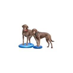 FitPAWS Balance Disc -HondenTopDeals fitpaws balance disc 151561 1500 none