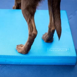 FitPAWS Balance Pad -HondenTopDeals fitpaws balance pad 176131 0500 none