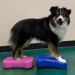 FitPAWS Bone Mini's 8 FitPAWS Bone Mini's -HondenTopDeals fitpaws bone minis 177124 1000 none