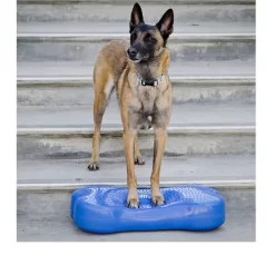 FitPAWS K9Fitbone -HondenTopDeals fitpaws k9fitbone 109639 0500 none