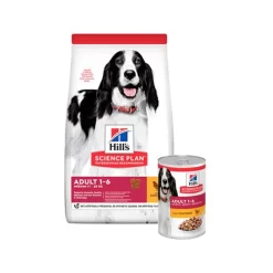 Hill's Science Plan - Adult - Medium - Chicken