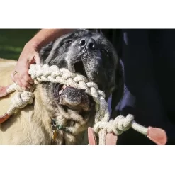 HuggleHounds Rope Knotties Monkey -HondenTopDeals hugglehounds rope knotties monkey 214157 0500 none