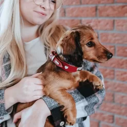 Hunter Collar Love -HondenTopDeals hunter collar love 223472 1000 none