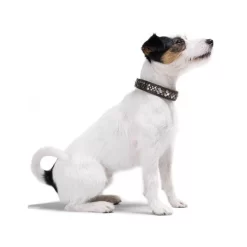 Hunter Halsband Arizona -HondenTopDeals hunter halsband arizona 116187 0500 none