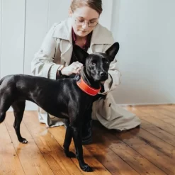 Hunter Halsband Divo 23 Hunter Halsband Divo -HondenTopDeals hunter halsband divo 208013 0500 none