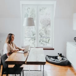 Hunter Hoekmand Livingstone - Grijs 19 Hunter Hoekmand Livingstone - Grijs -HondenTopDeals hunter hoekmand livingstone grijs 175903 1500 none