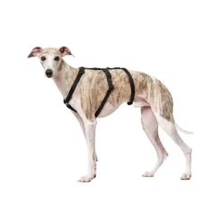 Hunter Vario Rapid Veiligheidsharnas 22 Hunter Vario Rapid Veiligheidsharnas -HondenTopDeals hunter vario rapid veiligheidsharnas zwart 169501 0500 none