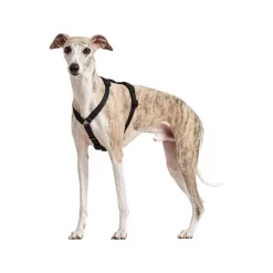 Hunter Vario Rapid Veiligheidsharnas 23 Hunter Vario Rapid Veiligheidsharnas -HondenTopDeals hunter vario rapid veiligheidsharnas zwart 169507 0500 none