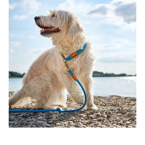 Hunter Verstelbare Riem Oss 12 Hunter Verstelbare Riem Oss - Afbeelding 12